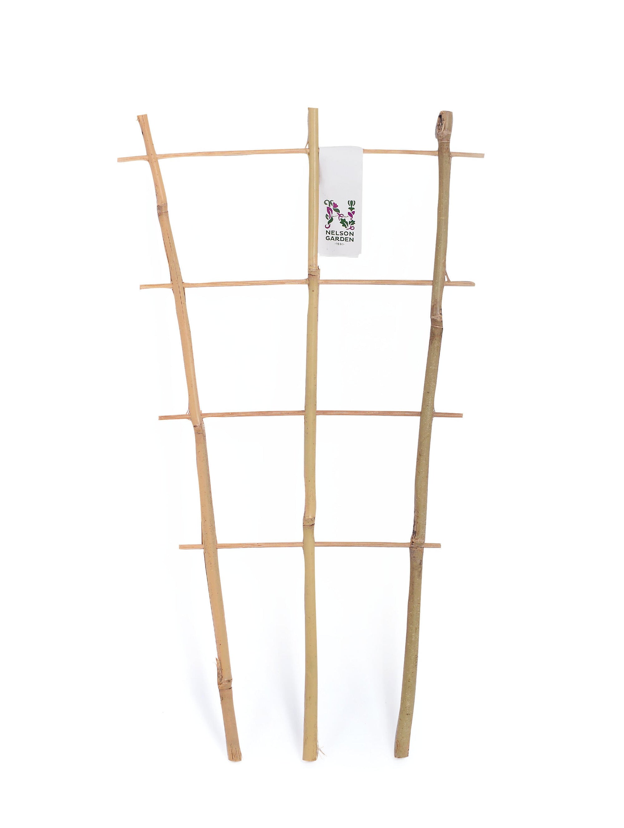 Krukspaljé, bambu