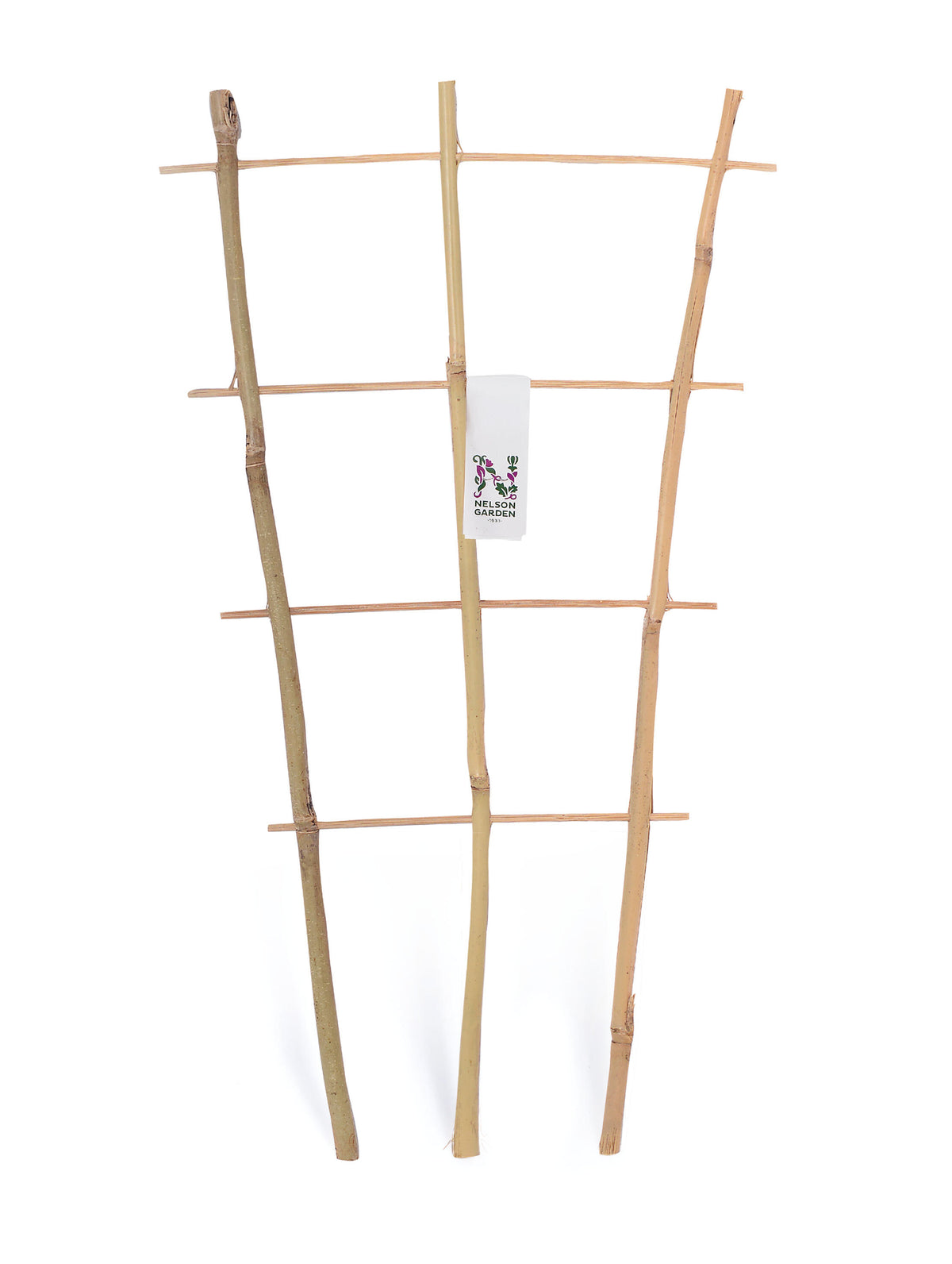 Krukspaljé, bambu