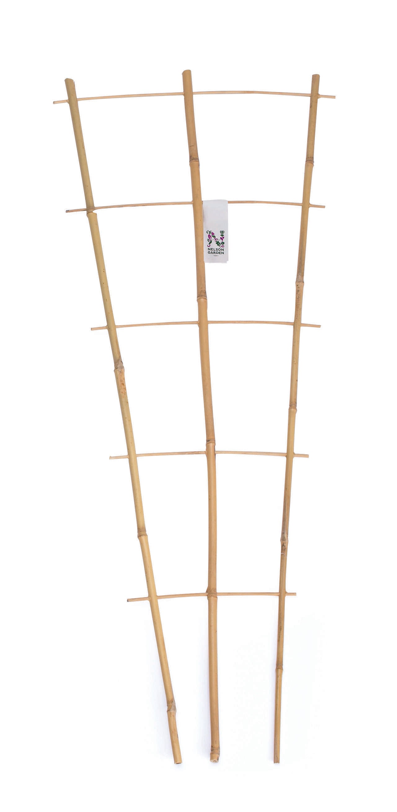 Krukspaljé, bambu