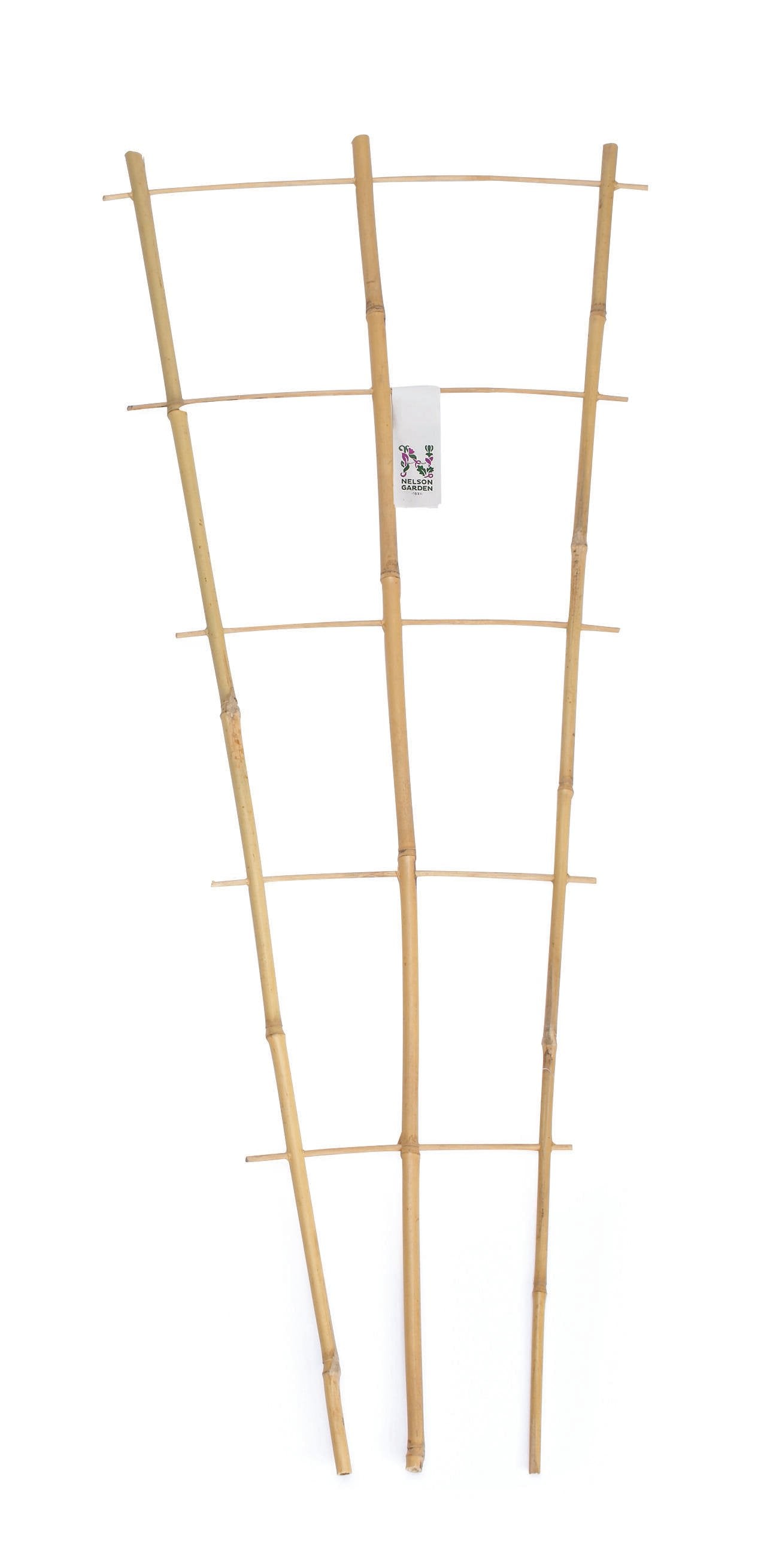 Krukspaljé, bambu