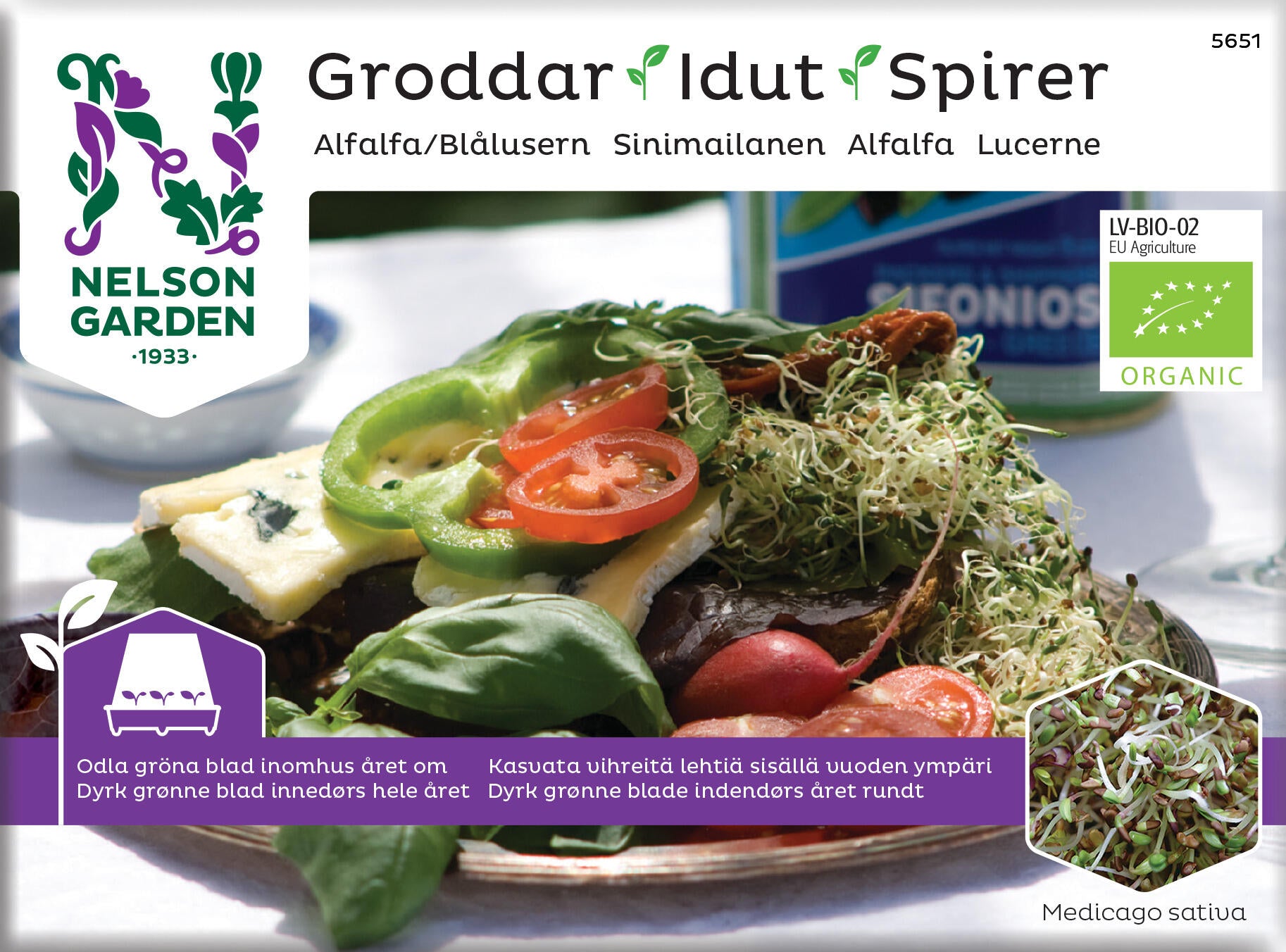 Groddar, alfalfa