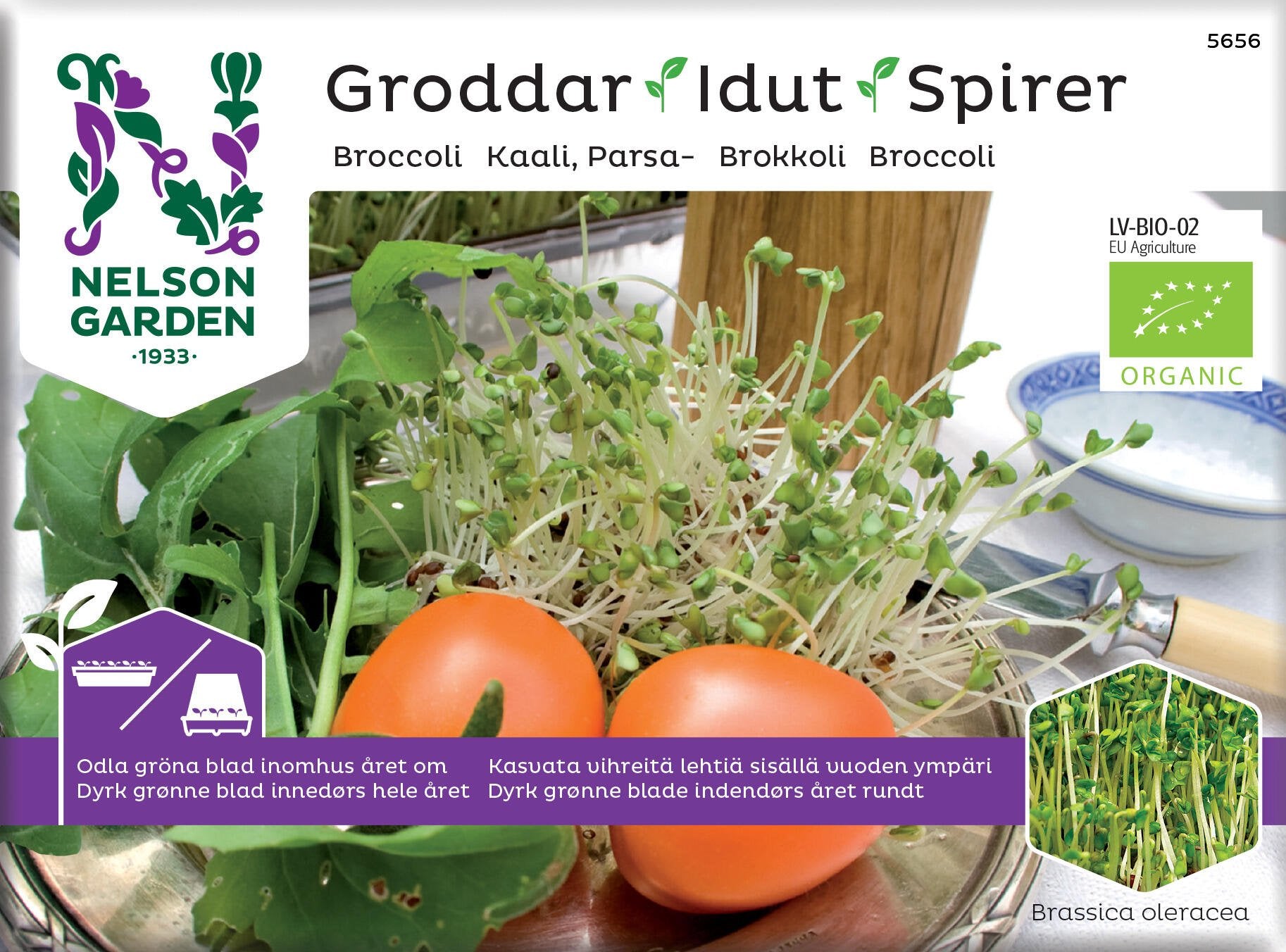 Groddar, broccoli
