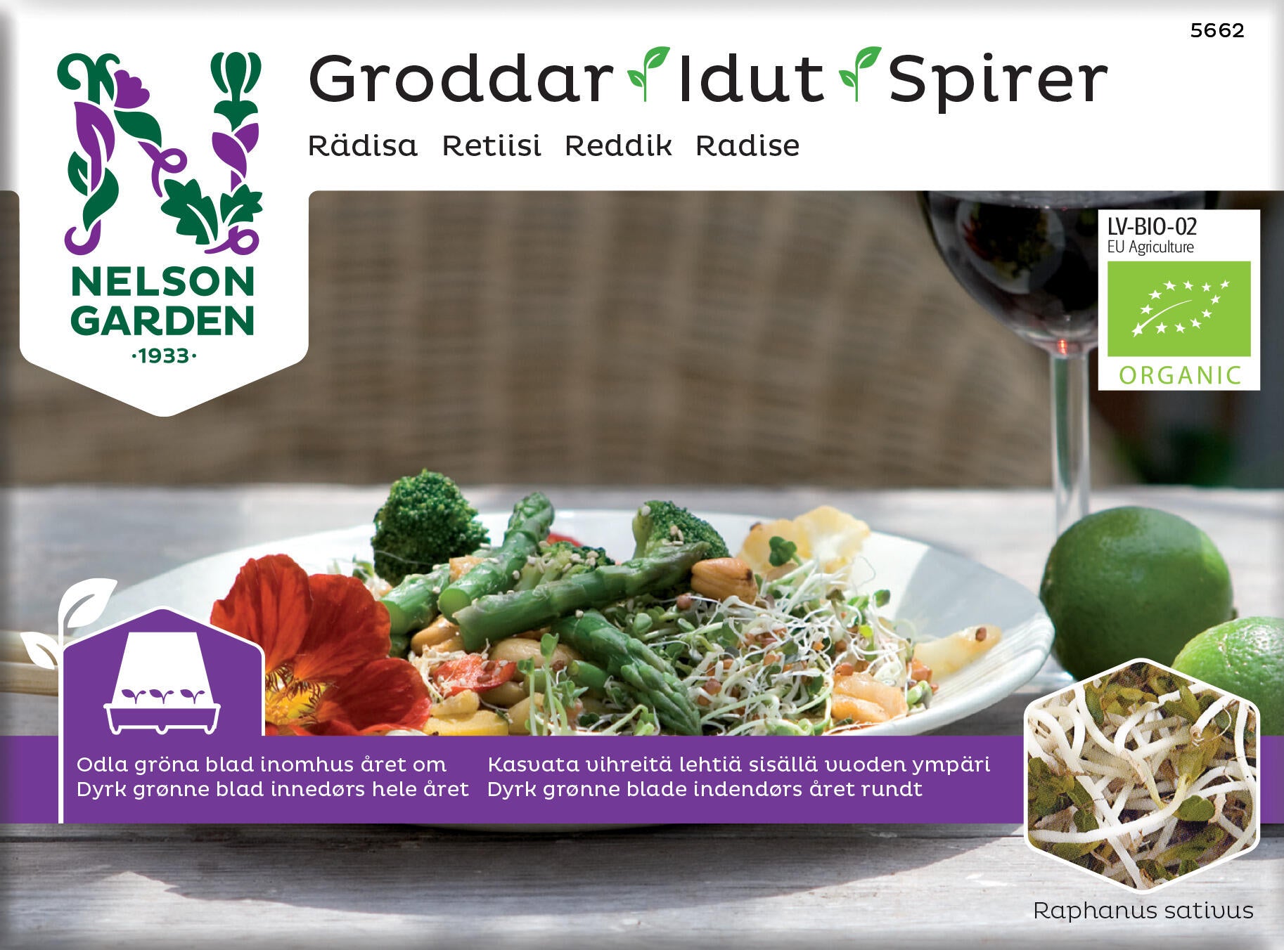 Groddar, rädisa