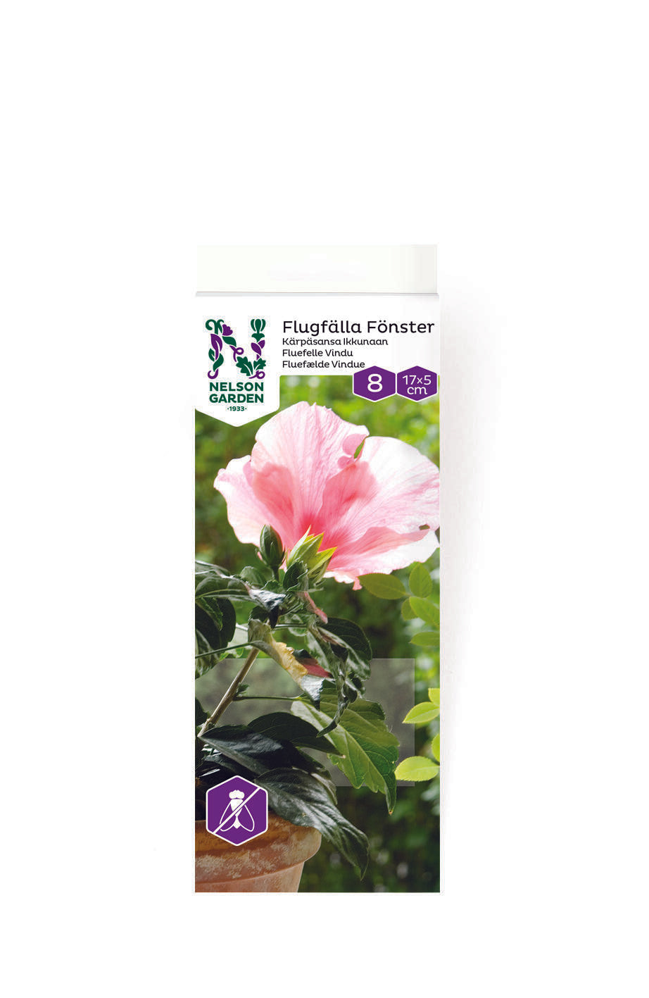 Flugfälla Fönster