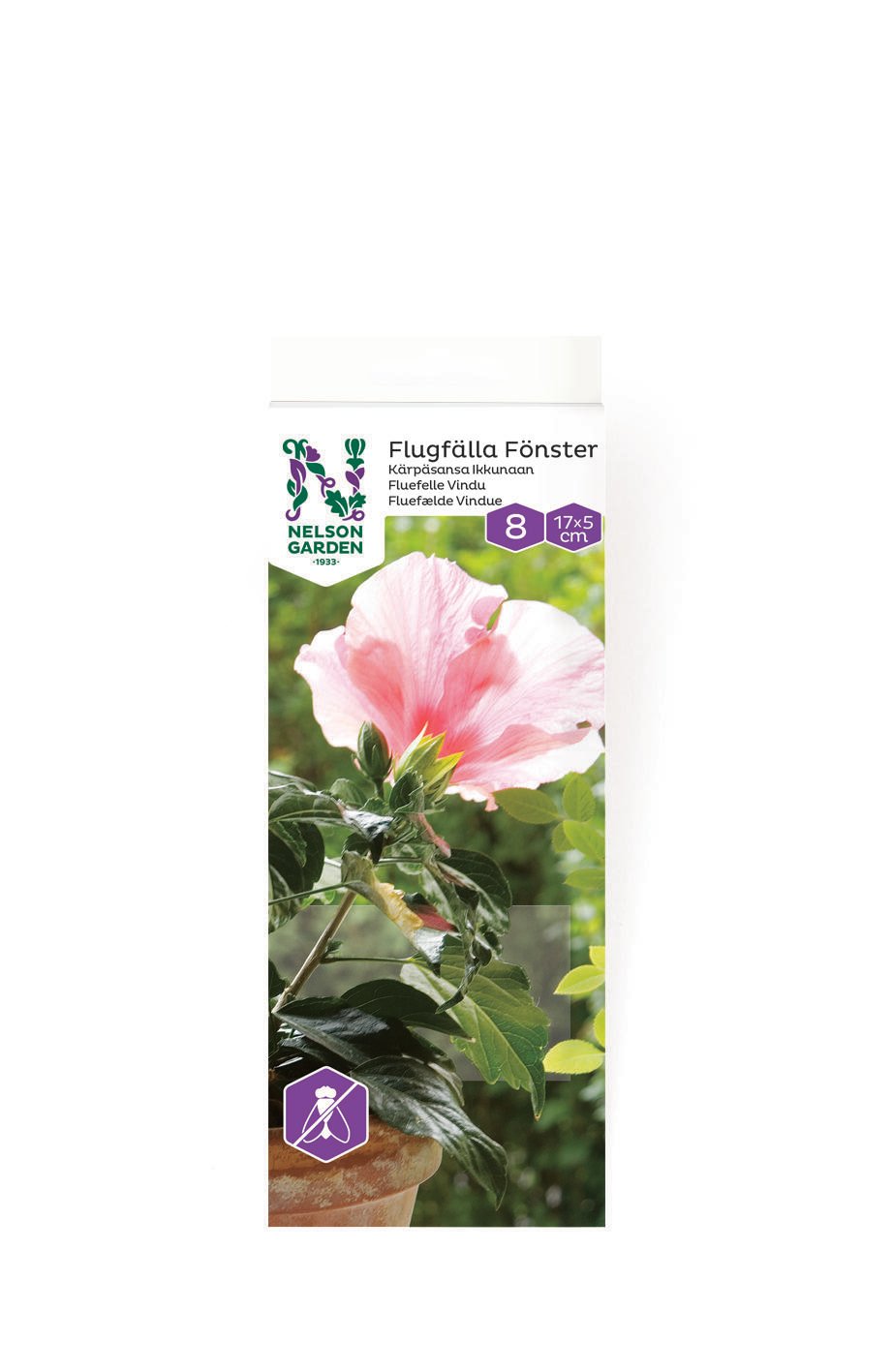 Flugfälla Fönster