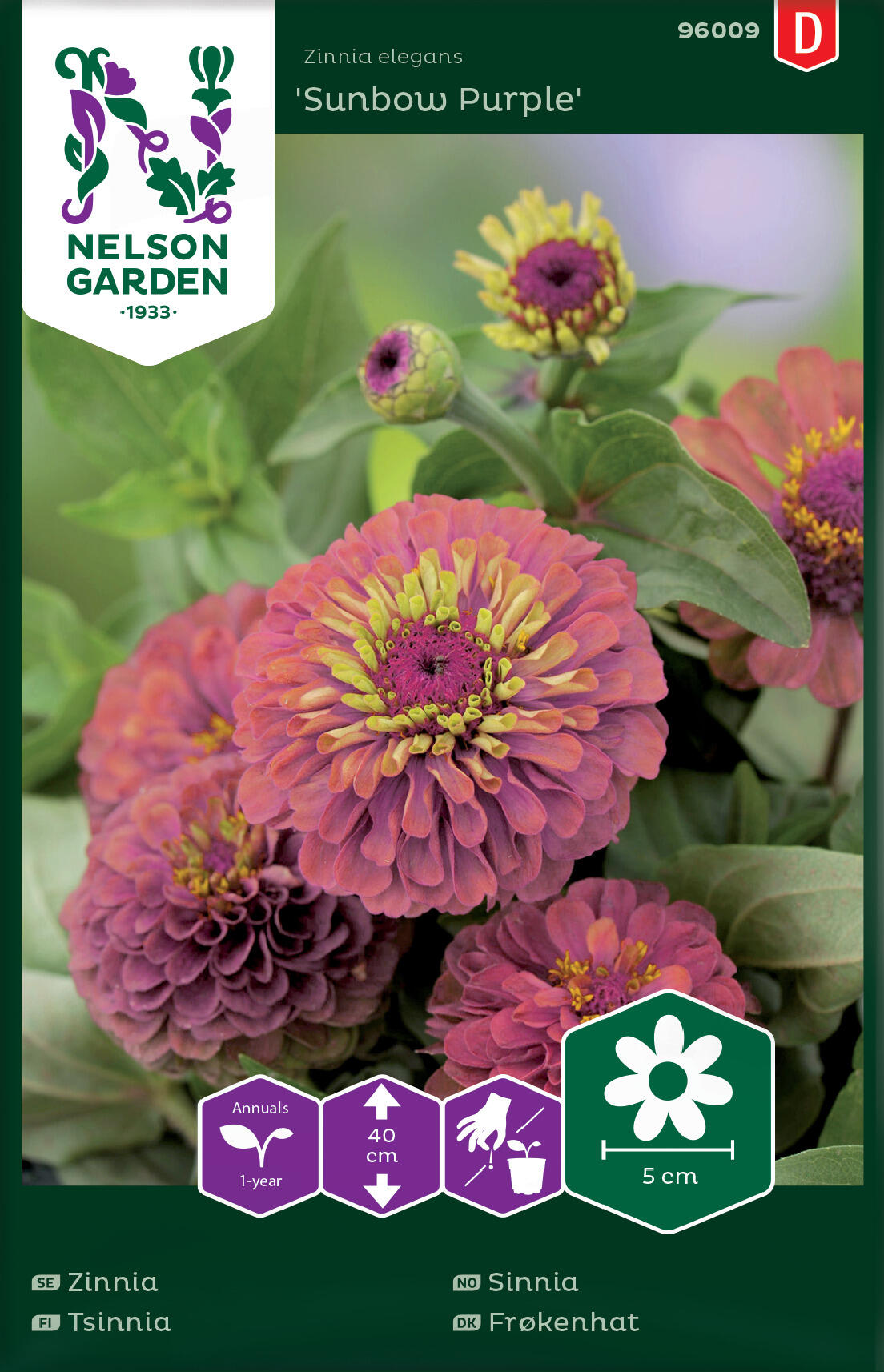 Zinnia