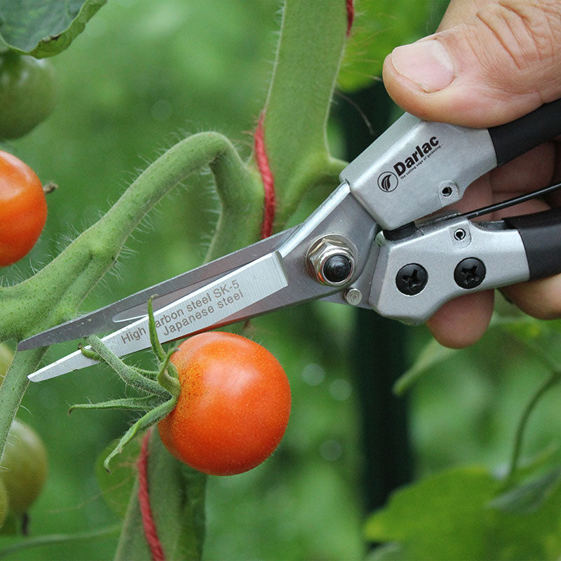 Beskärningssax, Compact Snips