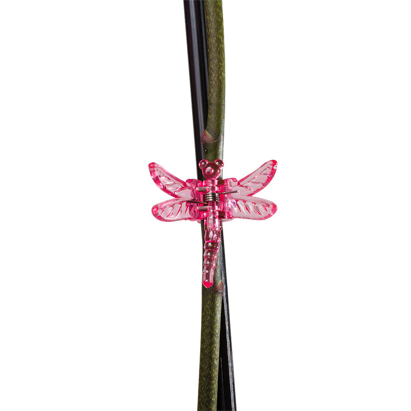 Orkidéclips Dragonfly, 10-pack