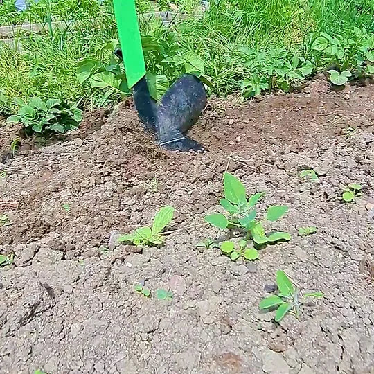 Enkelkupare