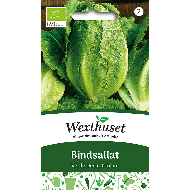 Bindsallat 'Verde Degli Ortolani', ekologisk