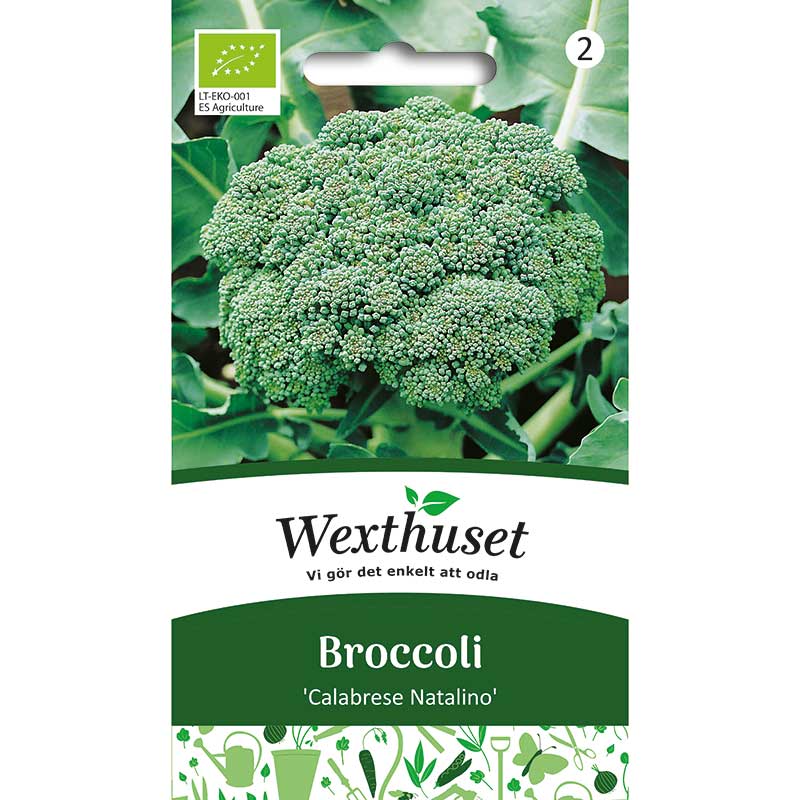 Broccoli 'Calabrese Natalino', ekologisk