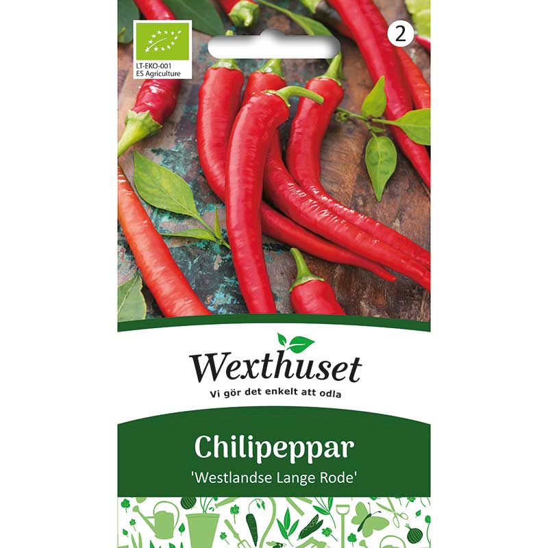 Chilipeppar 'Westlandse Lange Rode', ekologisk