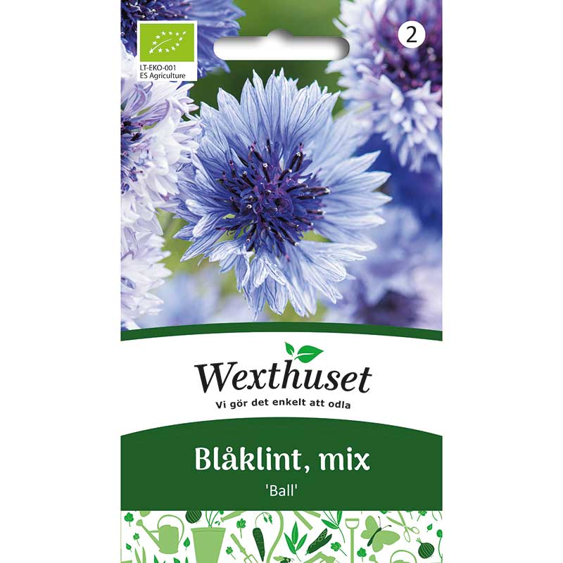 Blåklint 'Ball' mix, ekologisk