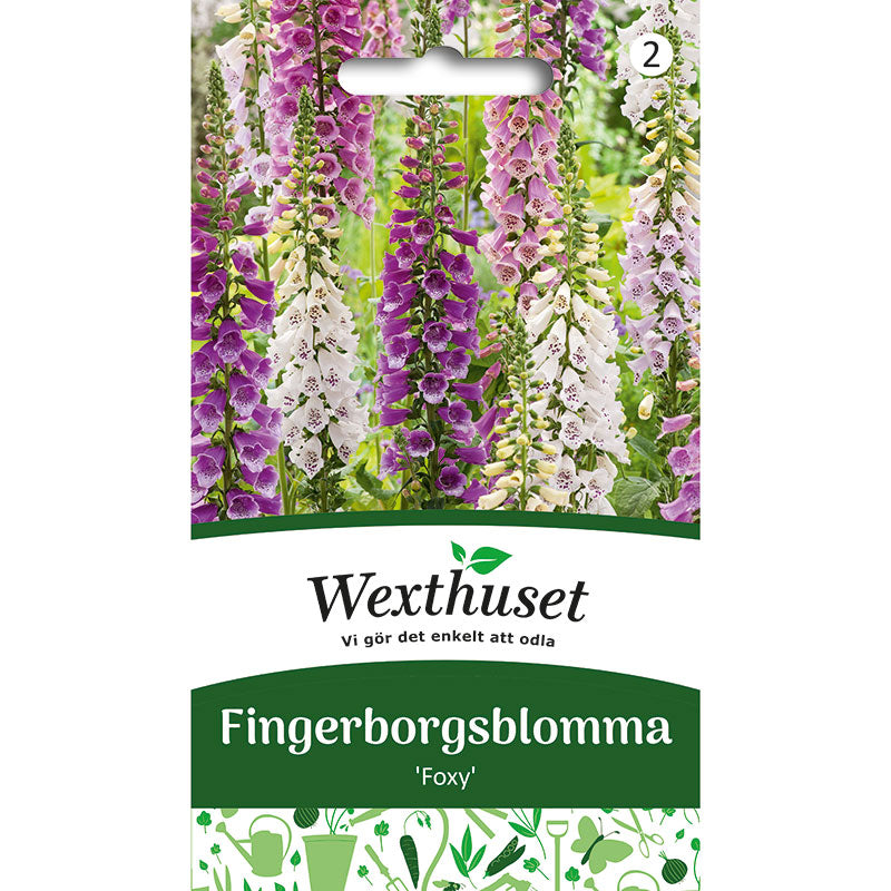 Fingerborgsblomma 'Foxy'