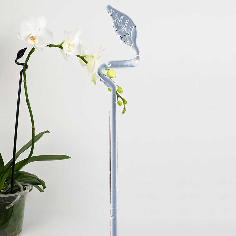Orkidéstöd Leaf, clear 3-pack