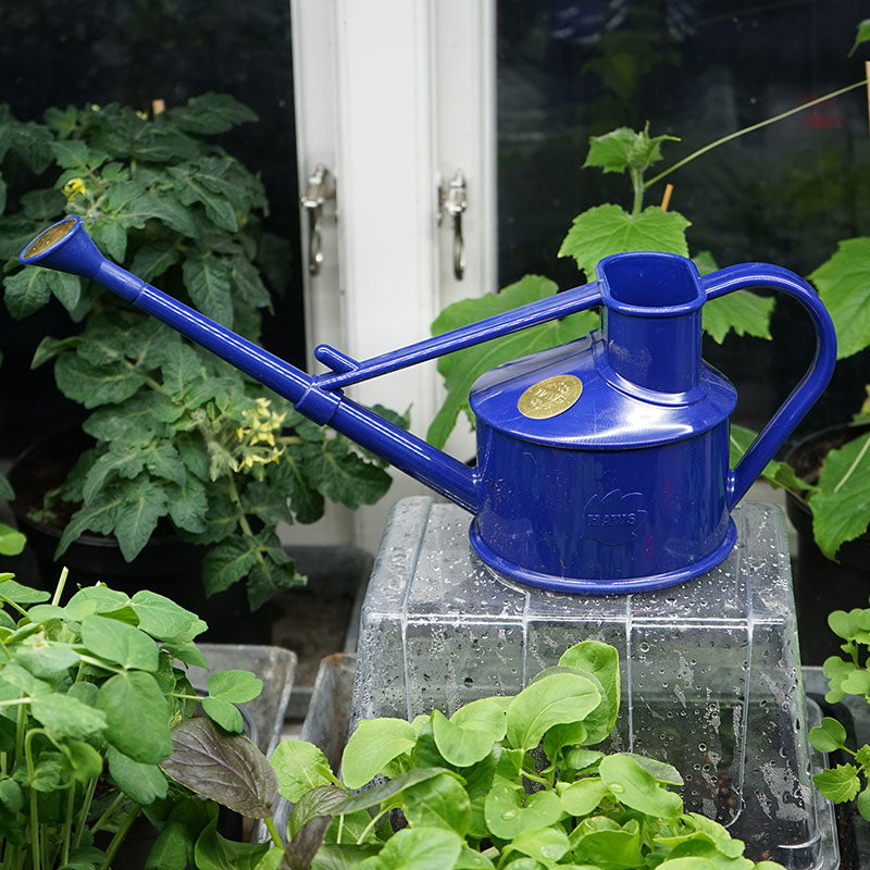Handy Indoor, blå, 0,7 L