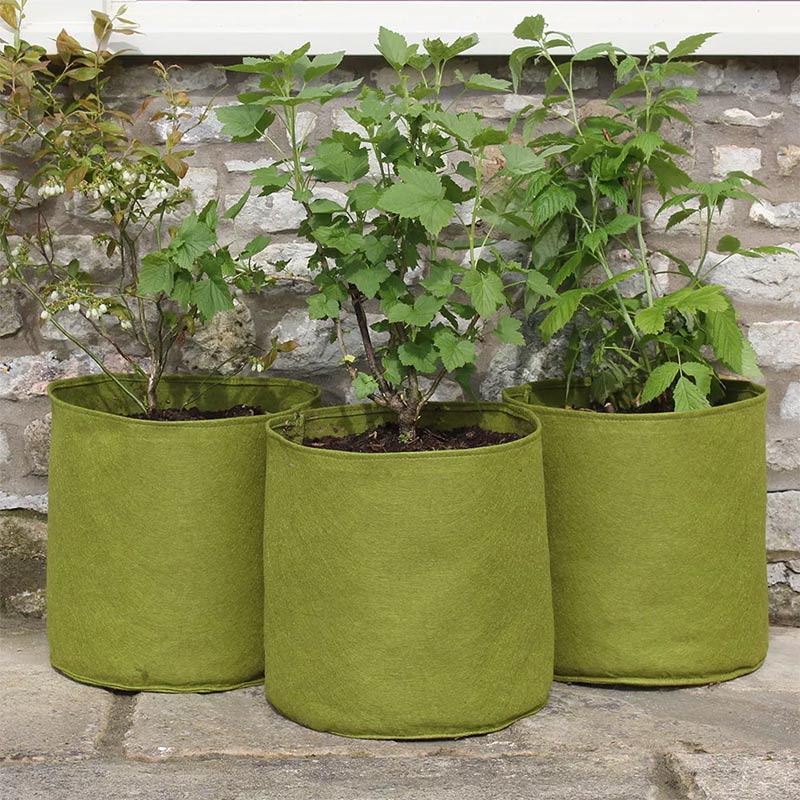 Vigoroot Odlingssäck 20L, 3-pack