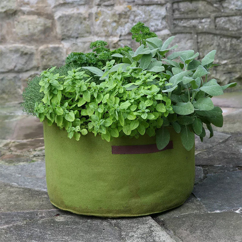 Vigoroot Herb Patio Planter