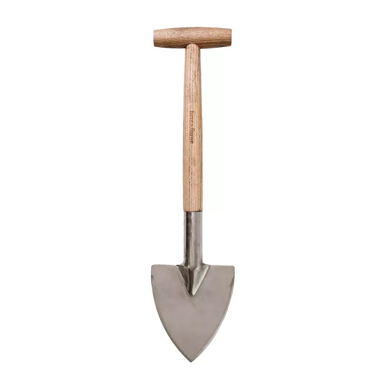 Perennspade