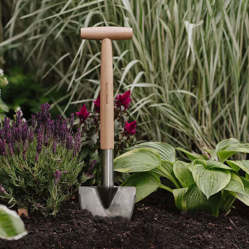 Perennspade