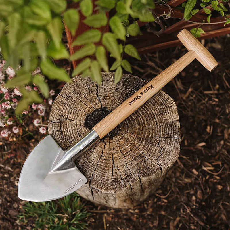 Perennspade