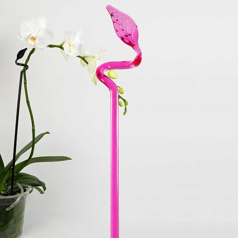 Orkidéstöd Leaf, rosa 3-pack