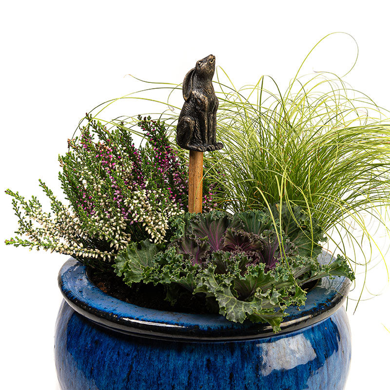 Trädgårdsknopp Hare