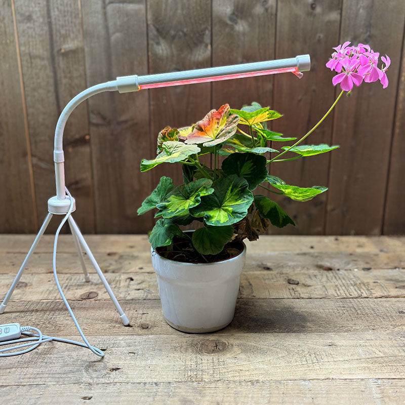 Växtlampa LED 7W USB, vit