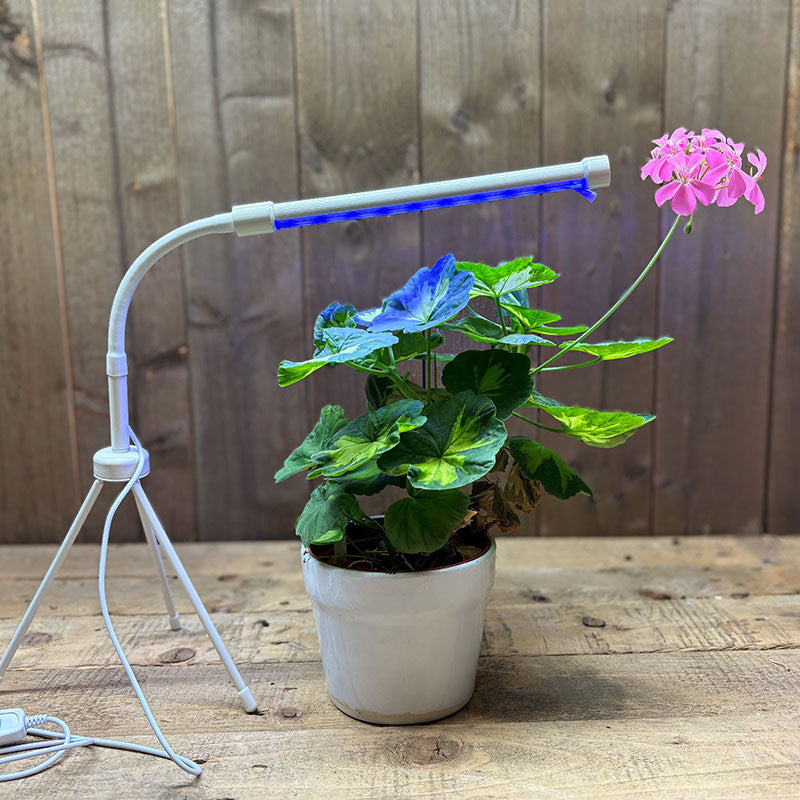 Växtlampa LED 7W USB, vit