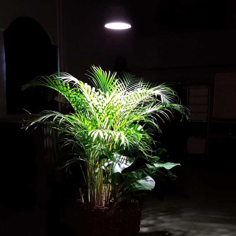 Primula Nova Indoor LED 16 W, silver