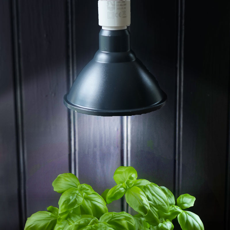 Primula Nova Grow LED 16 W, antracit