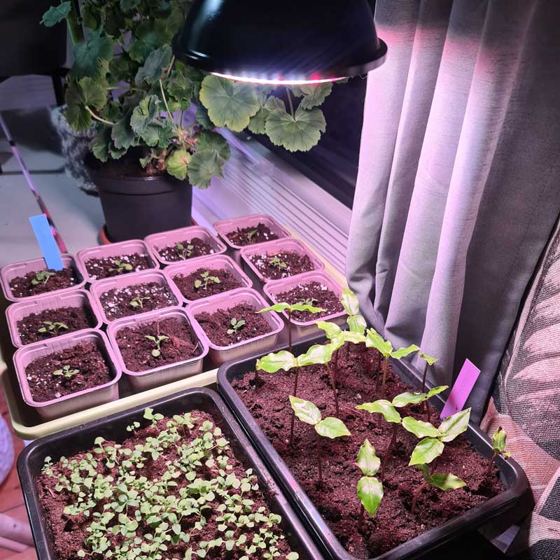 Primula Nova Grow LED 16 W, antracit