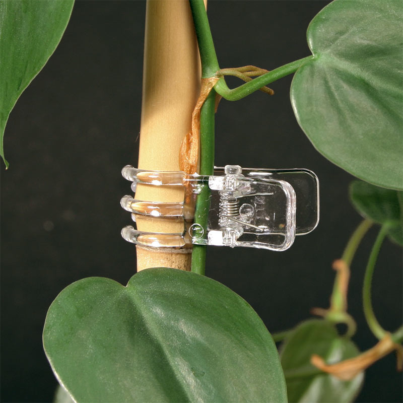 Orkidéclips Versatile, 12-pack