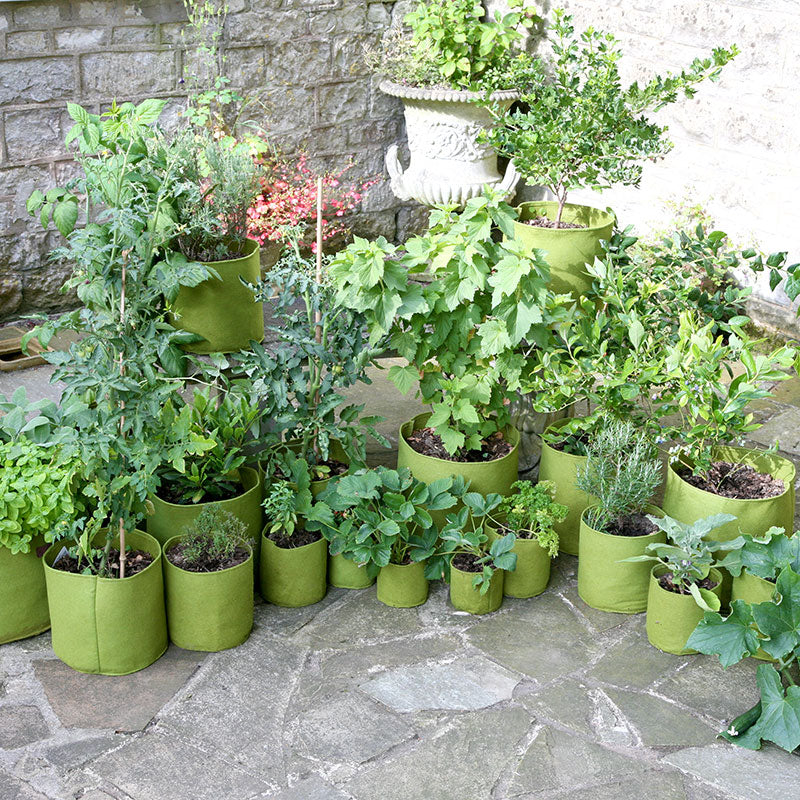 Vigoroot Potato/Tomato Planter
