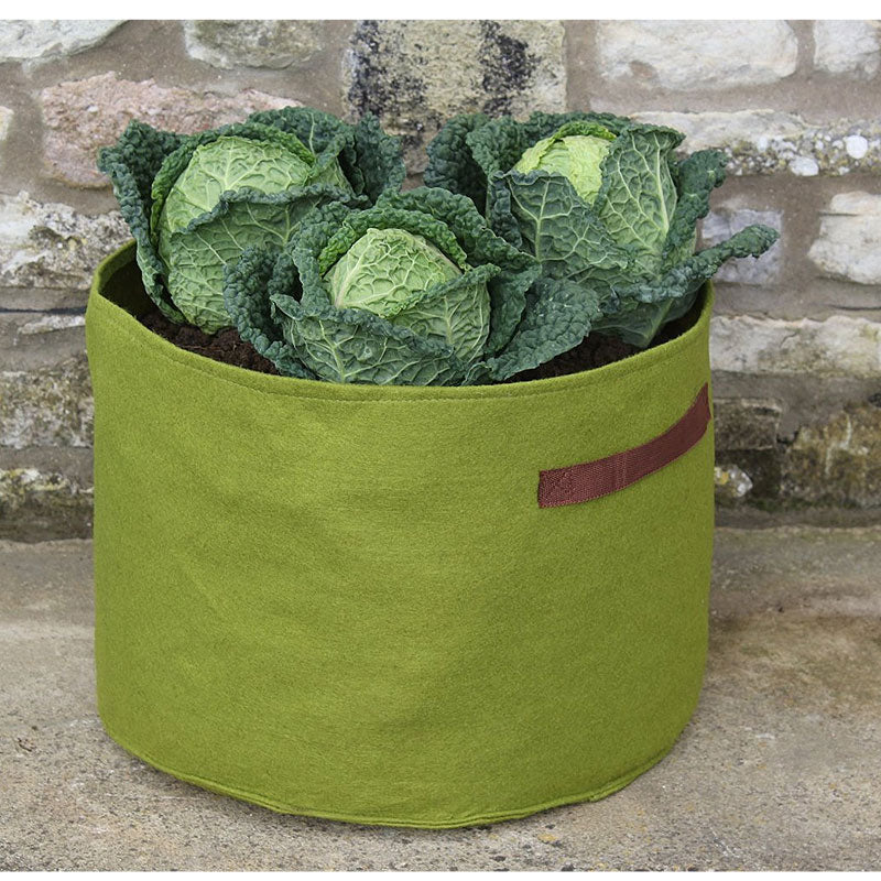 Vigoroot Vegetable Patio Planter